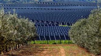 Solar PV Sets New Record in Italy
